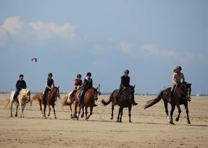 Lejlighed Immensee App F *